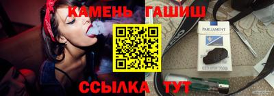 дмт Будённовск