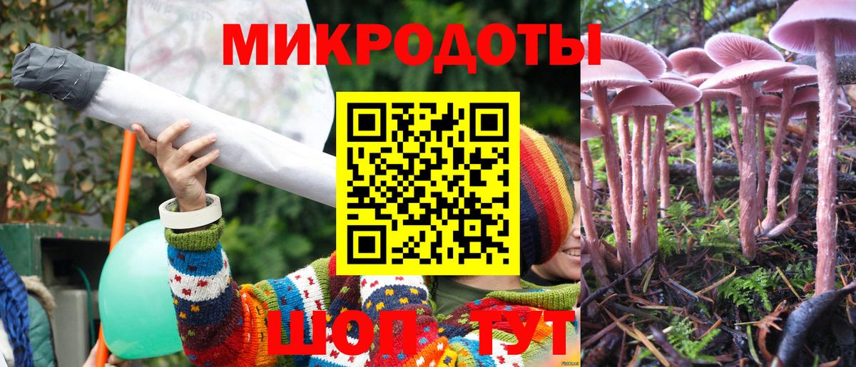закладки  Вход с VPN  Светлоград  Галлюциногенные грибы мицелий 